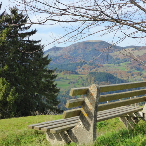 Blick zum Belchen - 