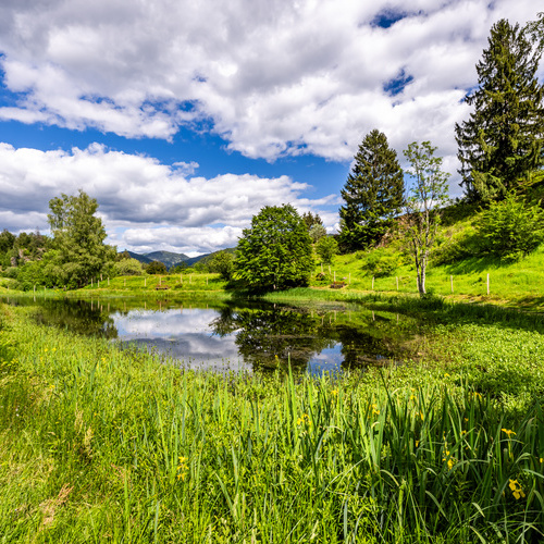 Letzbergweiher - 