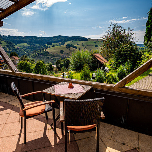 Terrasse  - genießen Sie hier unser leckeres Landfrühstück  zubuchbar für Ferienwohnungsäste 12,00 /Person 